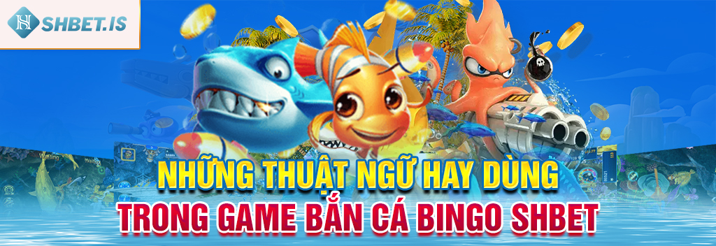 Những thuật ngữ hay dùng trong game bắn cá Bingo SHBET